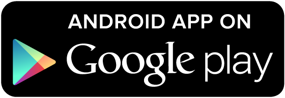 Google Play Store Icon